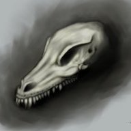 Neergero