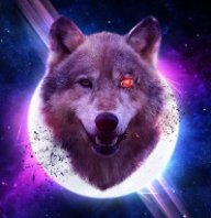 CosmicOwl