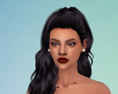vishsims2