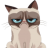 Котейкина