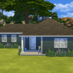 старт дом база(2).jpg