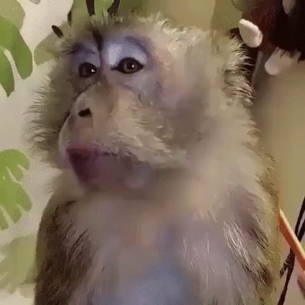L9n3Pqbh.gif