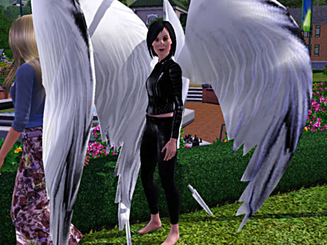 897953_m.jpg