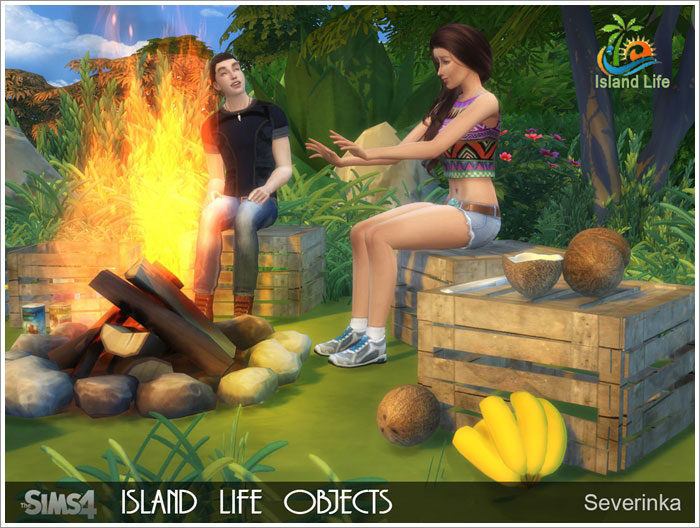 islandlife-ts4-1.jpg