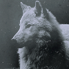 01a610a4f3206fc690778eeb7d4.png