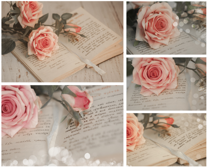 book-collage800.jpg