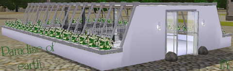 891485.jpg