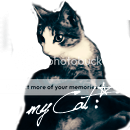 17bac7d14a4e-copy-3.png