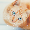 cfa23059c14d8a76c7ba717e32d.png