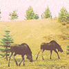 bc21bb69448fe9ec387b469737e.jpg