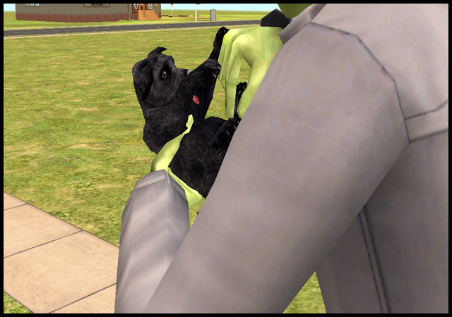 2475b.png
