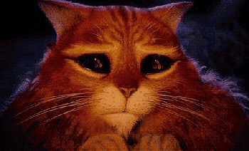 kote-kot-iz-SHreka-pesochnitsa-1489539.gif