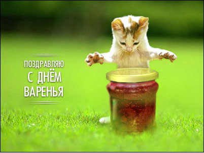 1344279095_0.jpg