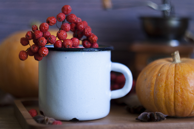 2019pumpkin800-7.jpg