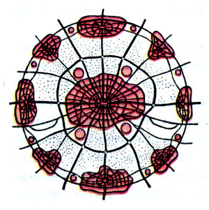 000083.jpg