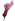 cvetok_dlja_glavnogo_menju_15.png