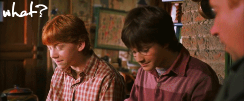 7GO81.gif