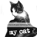 17bac7d14a4e-copy-2.png