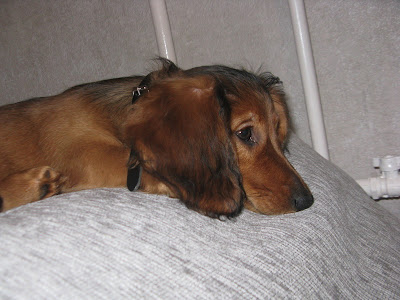 IMG_8926_resize.JPG