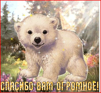 c9ecf9a72a02b40ab51701159a062ce2.jpg