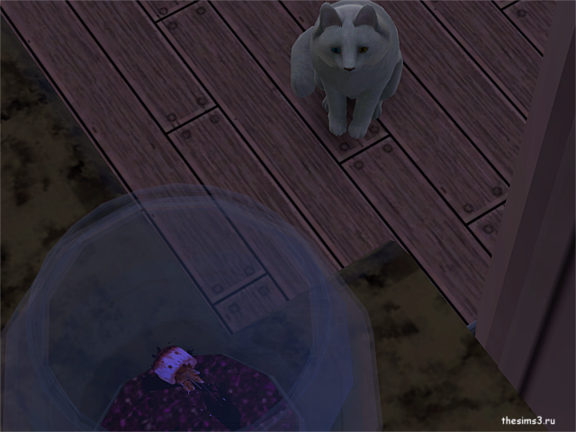 A9doY.png