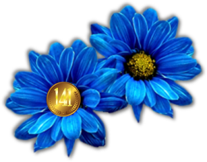 TqwnE.png