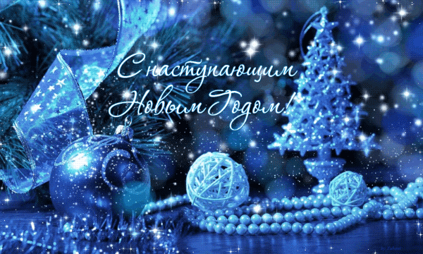 312019023.gif
