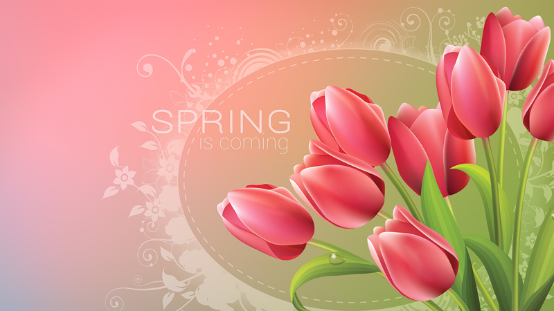 wallpaper-tulips-450-1.jpg