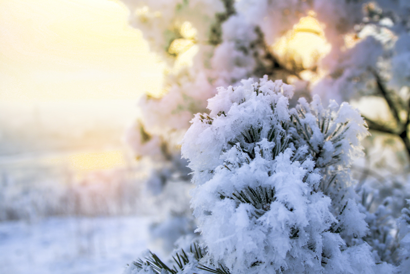 enisey3-winter2019-800.jpg