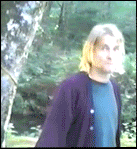 tumblr_lq06tsdWol1qeypwyo1_250.gif