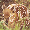 b5e3bcec0040ea9be3558410cb2.jpg